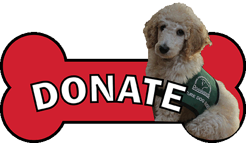 Dog Guides Donate graphic