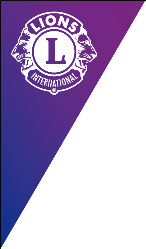 lions logo