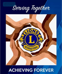 District Governor's logo